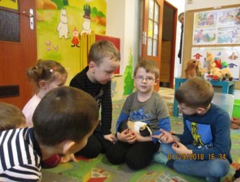 Nasze przedszkole odwiedziła świnka morska Huberta