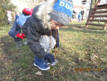 Leśna Skrzynia Skarbów