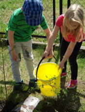 Praca w ogrodzie przedszkolnym