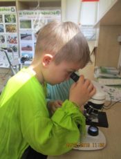 Z wizytą w ekobusie