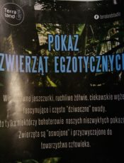 19 listopada 2019 w naszym przedszkolu odbędzie się pokaz zwierząt egzotycznych