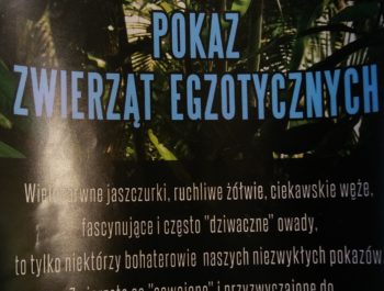 19 listopada 2019 w naszym przedszkolu odbędzie się pokaz zwierząt egzotycznych