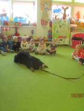 nasz pies terapeutyczny