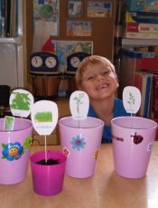 zaczynamy Projekt Roślinka