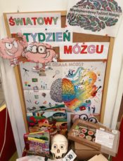 światowy tydzień mózgu – zabawy edukacyjne Muminków