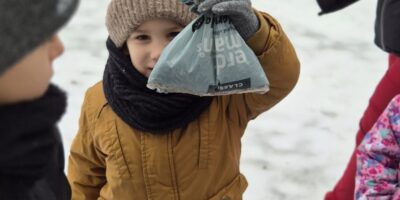 Dokarmianie ptaków zimą